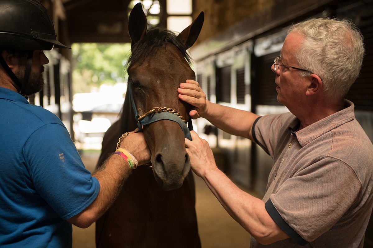 DestGettysburg's tweet photo. Hanover Shoe Farms - the 3,000-acre standardbred breeding farm is home to more than 1,000 horses - both active and retired mares, stallions and yearlings. And it's proud to call #AuthenticAdamsCounty home.
Learn more about Hanover Shoe Farms here: https://t.co/0zoL69esuC. https://t.co/RKhHsqwacO