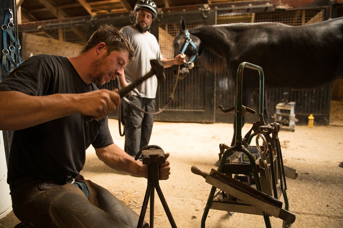 DestGettysburg's tweet photo. Hanover Shoe Farms - the 3,000-acre standardbred breeding farm is home to more than 1,000 horses - both active and retired mares, stallions and yearlings. And it's proud to call #AuthenticAdamsCounty home.
Learn more about Hanover Shoe Farms here: https://t.co/0zoL69esuC. https://t.co/RKhHsqwacO