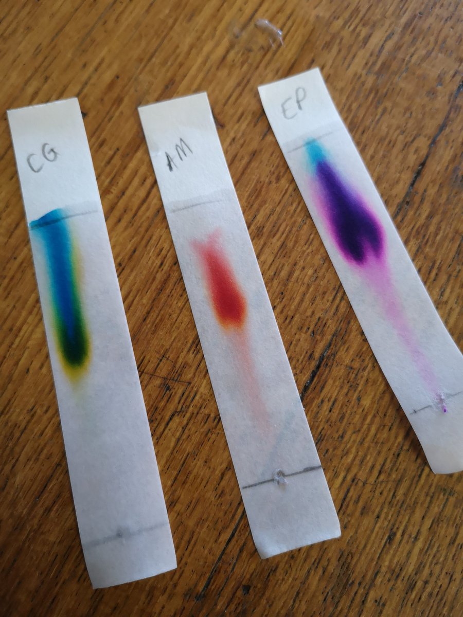 Higher chemist's have been practicing their paper chromatography techniques and analysing ink dyes this afternoon 👩🏻‍🔬👨🏻‍🔬⚗️🖌️🖍️ #chemicalanalysis