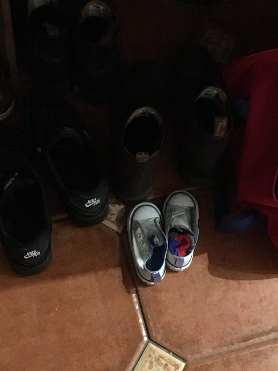 EgscoGarry's tweet photo. I think we’ve got a new lodger 😂 https://t.co/J4z6bjEIpM
