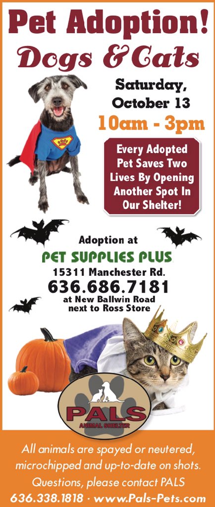 Pet Supplies Plus Ballwin - The Y Guide