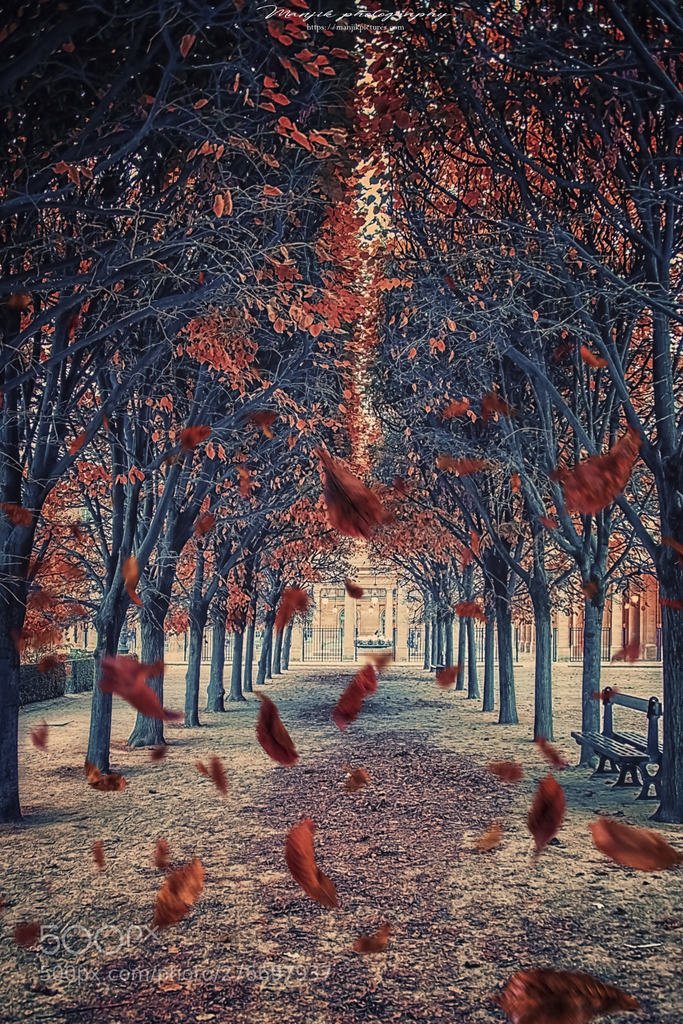 Autumn in Paris (автор фото manjik) #Urban Exploration