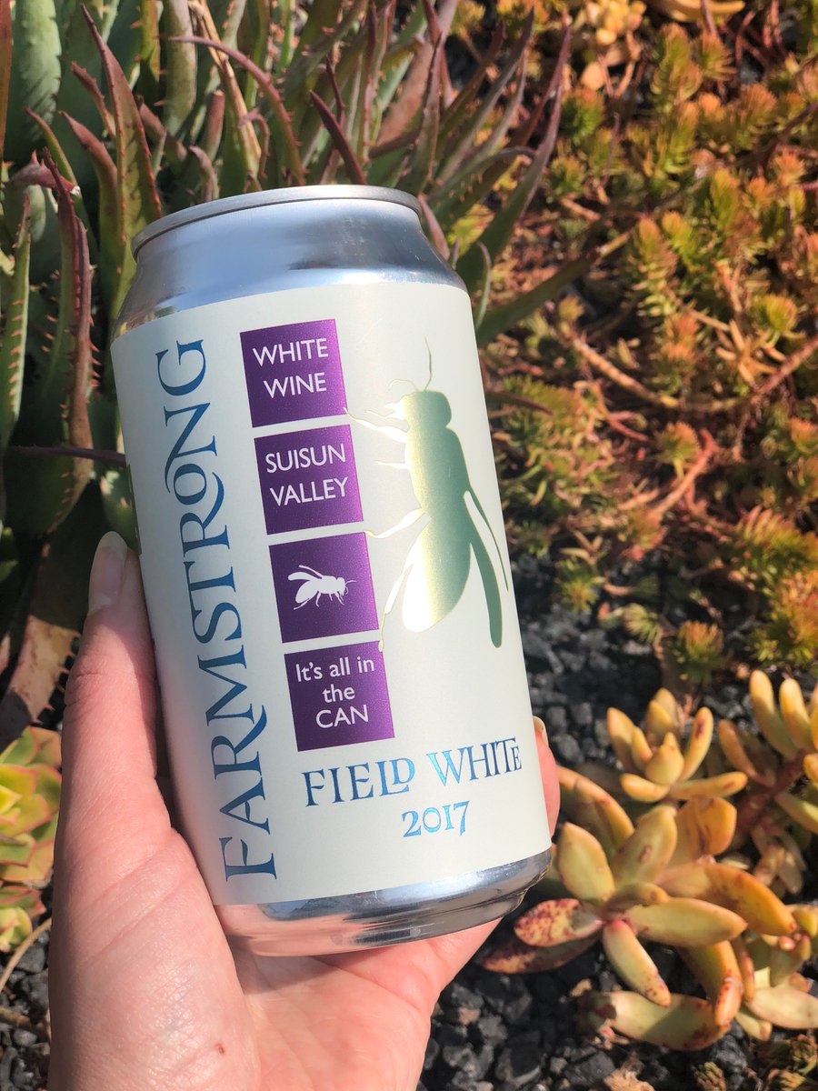 NOON Equation: Wine Wednesday + staying in on your own + an impressive Netflix queue + nibbles from NOON = The need for a portable glass (or two!) from a new favorite a new favorite.  Farmstrong Field White by Onward Wines is the perfect sip to enjoy in or out.  #swoonfornoon