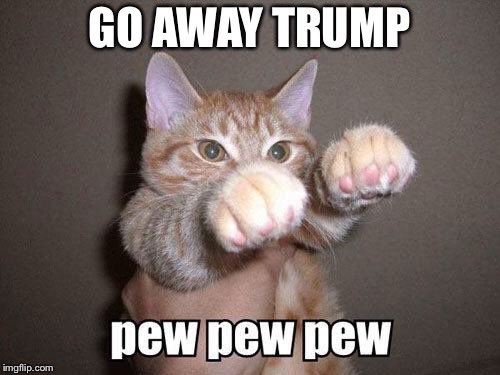 1BulletproofPro's tweet image. #PresidentialAlertSystem #Trump