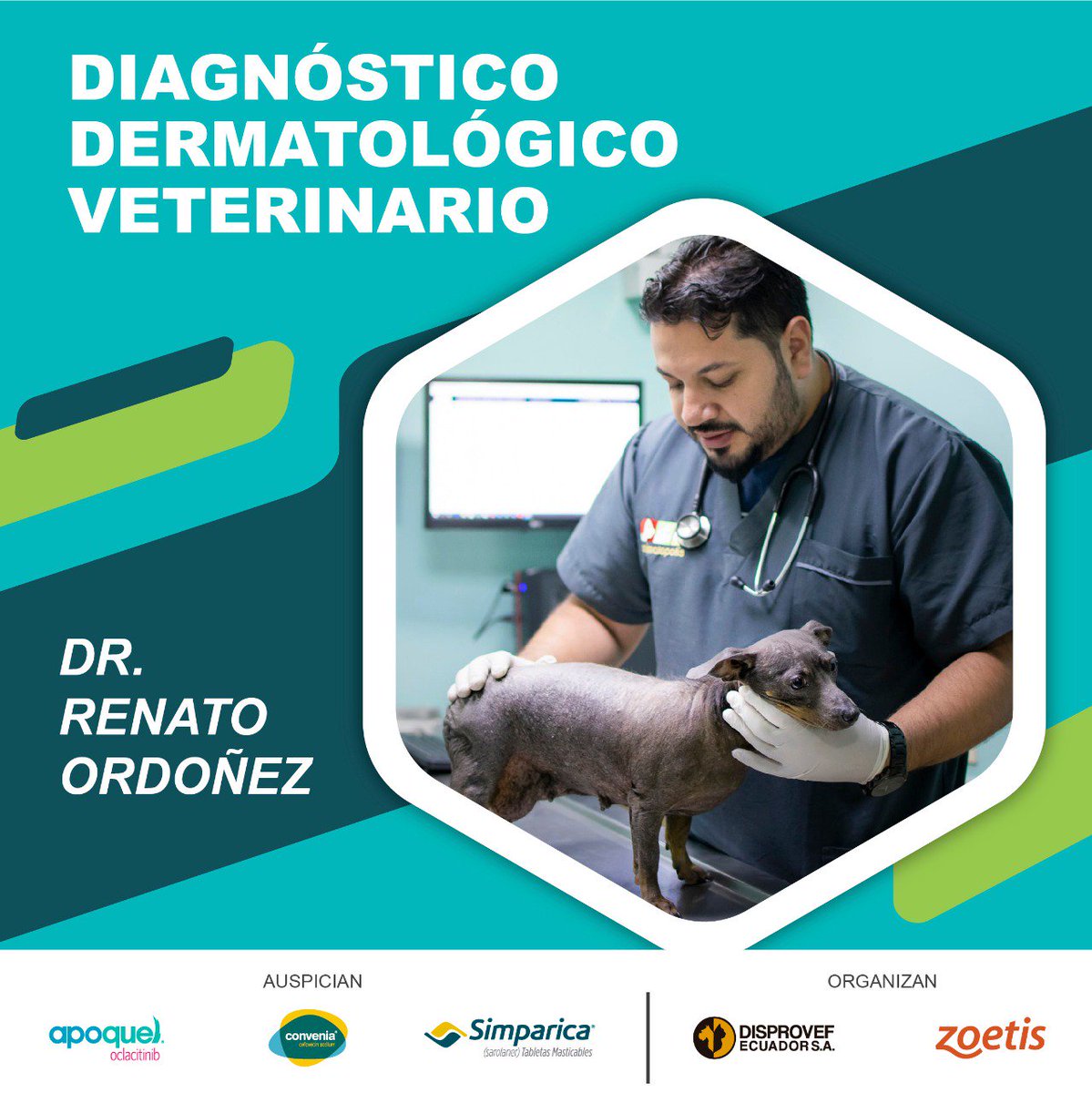 disprovefec's tweet photo. CHARLA Y TALLER PRÁCTICO DE DERMATOLOGÍA VETERINARIA 
Tema: Pruebas para el acercamiento diagnóstico - dermatológico.
📍Quevedo - Ecuador
🗓Viernes 12 de Octubre
📧 marketing@disprovef.com
📱0969392964 - 0969879086 https://t.co/f7UE4kzYuM