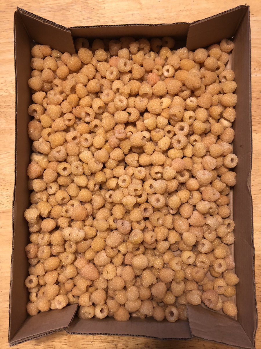 Matt Weide tweet media