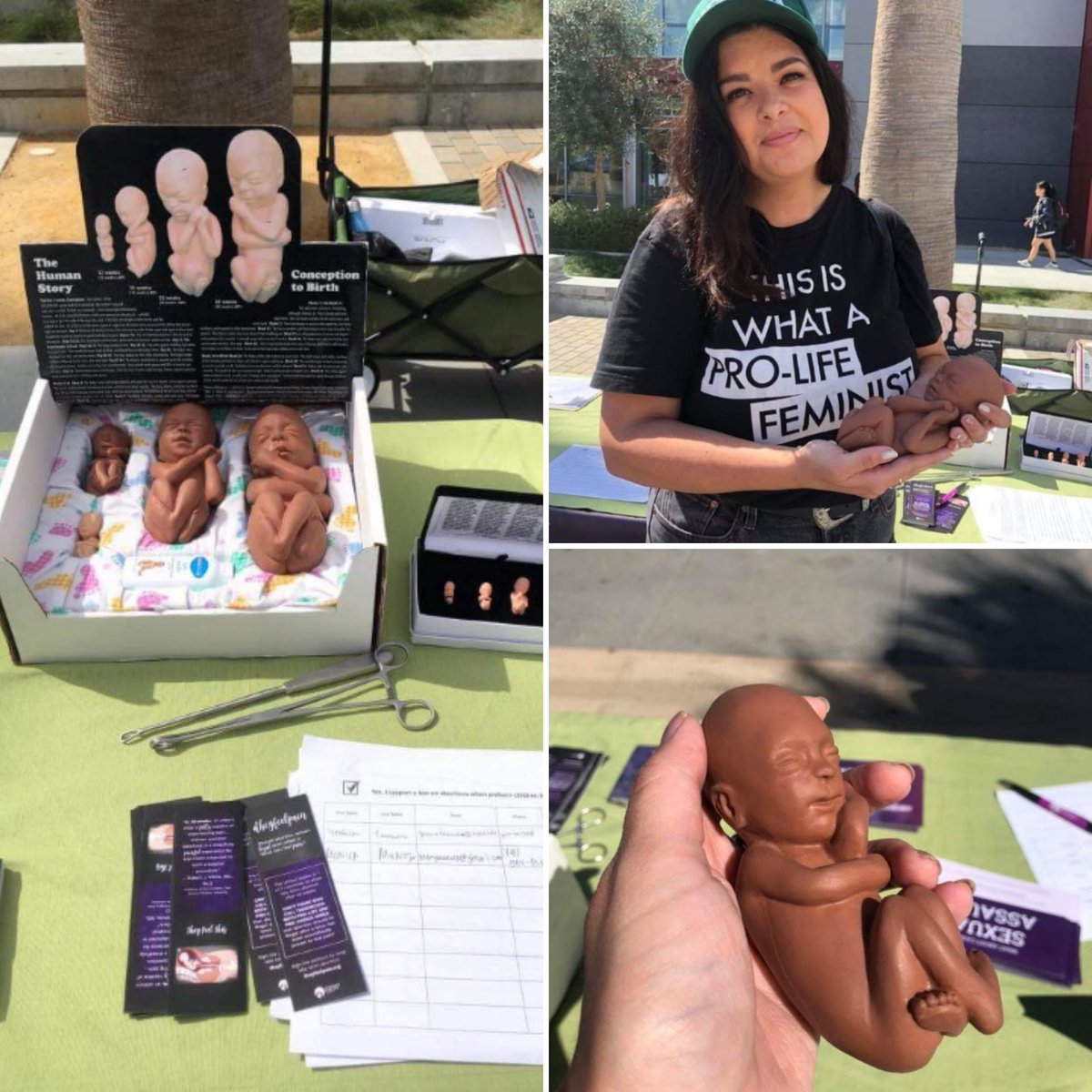 prolifesf's tweet photo. Tuesday with #SanJoseState Spartans For Life. We spent the day gathering signatures, demanding the #Senate pass a #20WeekBan on abortion. #ProLifeCA #prolife https://t.co/mmUeavqKwp