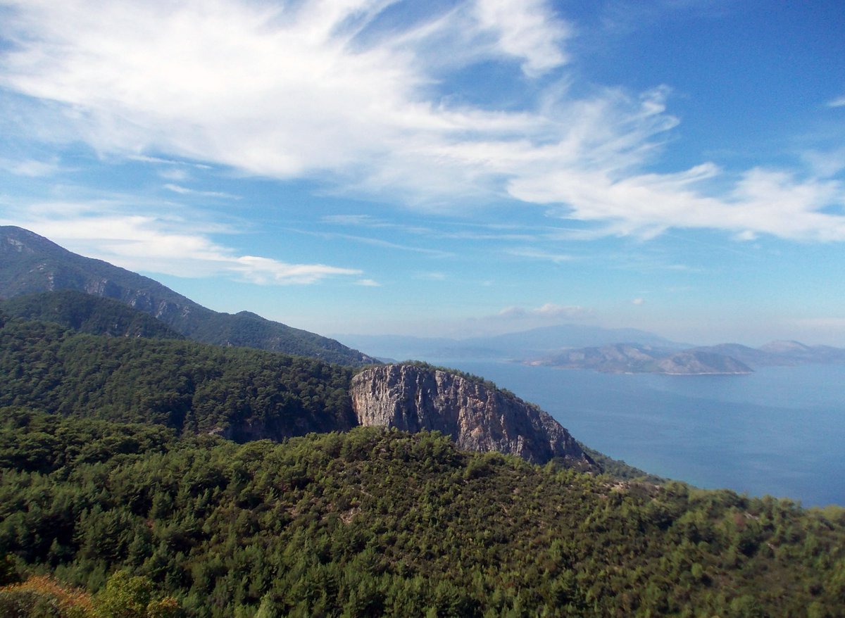 TheTurkishLife's tweet photo. This is what it looks like when you actually protect and take care of #nature. Pretty darn impressed by Dilek Yarımadası #MilliParkı near #Kuşadası #Turkey. #doğayısev https://t.co/45D3Syl3r4