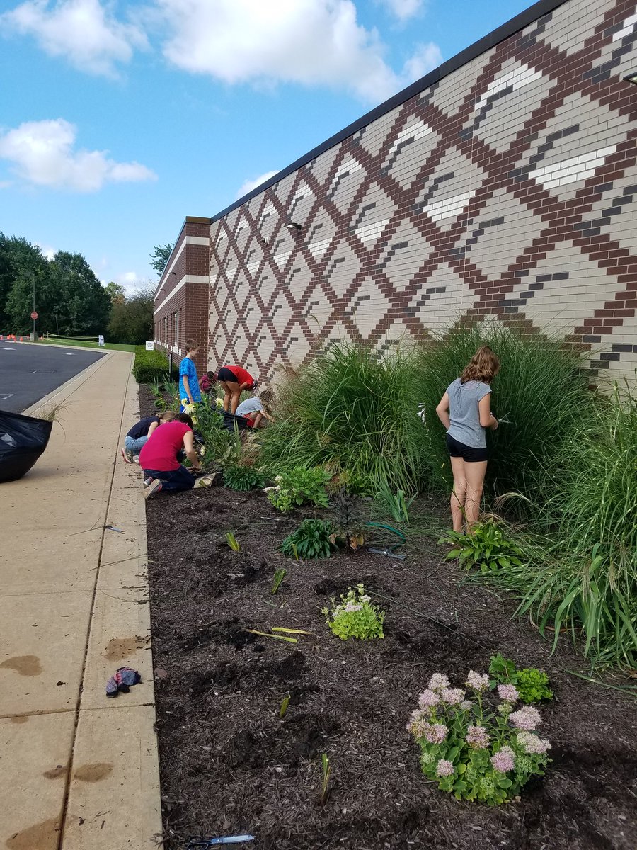 JenWevodau's tweet image. #crestcommunitychallenge2018 #ICRocks #ICTeamConquerors #HayleysGarden