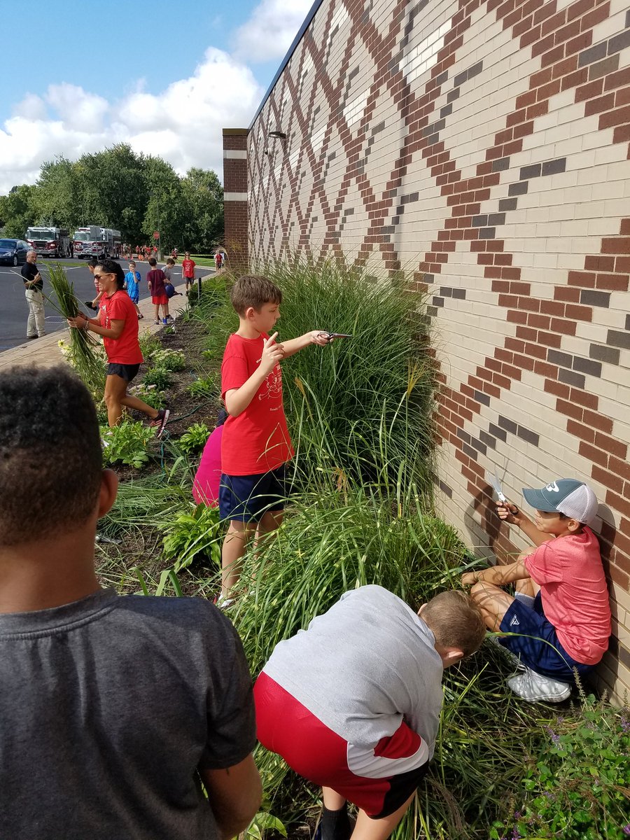 JenWevodau's tweet image. #crestcommunitychallenge2018 #ICRocks #ICTeamConquerors #HayleysGarden