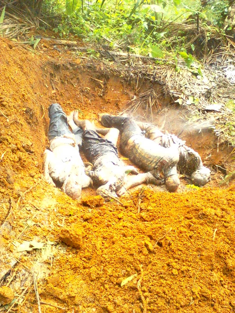 MeBalikwisha's tweet photo. 4 corps a décomposition retrouvés hier à Mukoko territoire de Beni.
Nous dénonçons si pas l'incapacité de faire face a cette situation alors la complicité du gouvernement Congolais.
4ans ce trop pour éradiquer un group armée quelque soit sa force. https://t.co/YedoujjRqJ