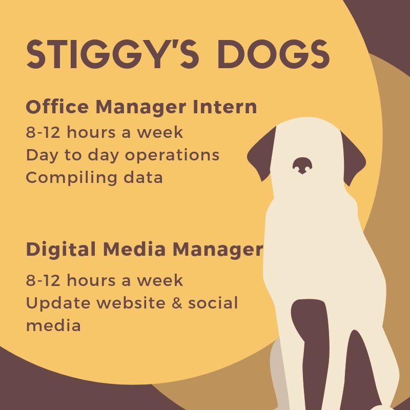 cuaaengage's tweet photo. Do you love dogs?! In search of a part-time job!? Stiggy’s Dogs is looking for help in their efforts to transform rescue dogs into service dogs for Combat Veterans! Stop in the Career Engagement Studio to learn more about these 2 job postings!
#cuaaengage #stiggysdogs https://t.co/oQoYw9TZde