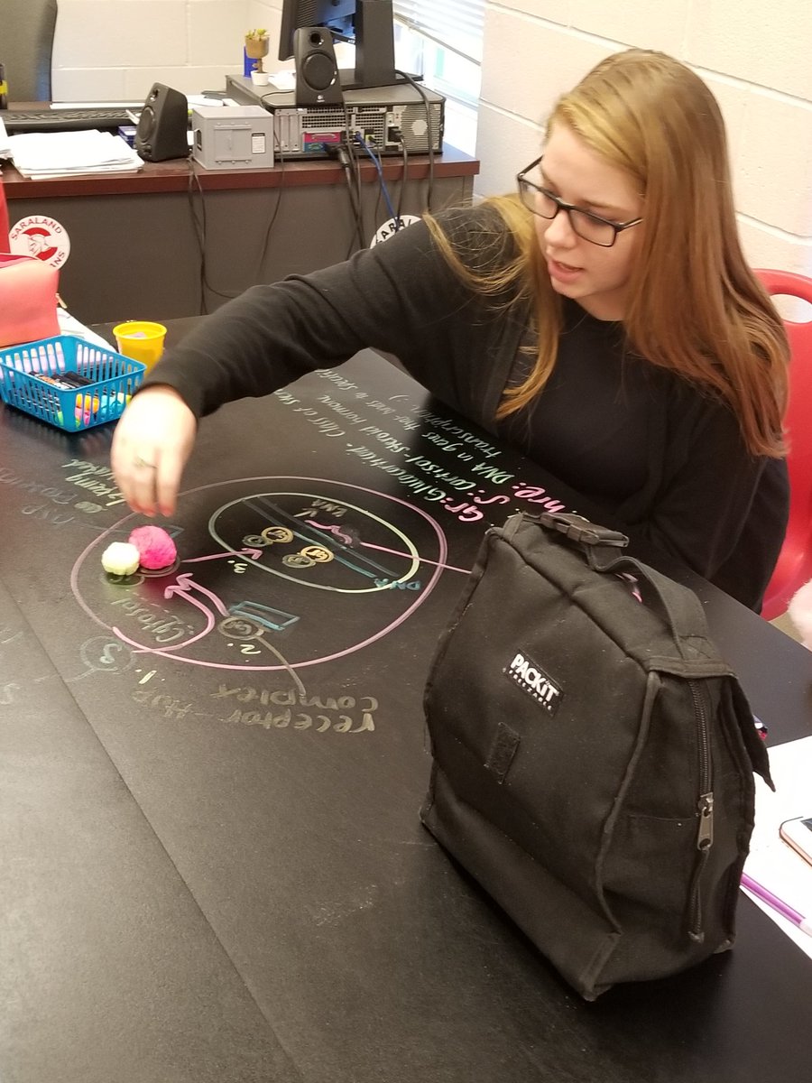 SaralandAPBio's tweet photo. Modeling signal transduction. @SaralandHigh https://t.co/up7tN36GGW