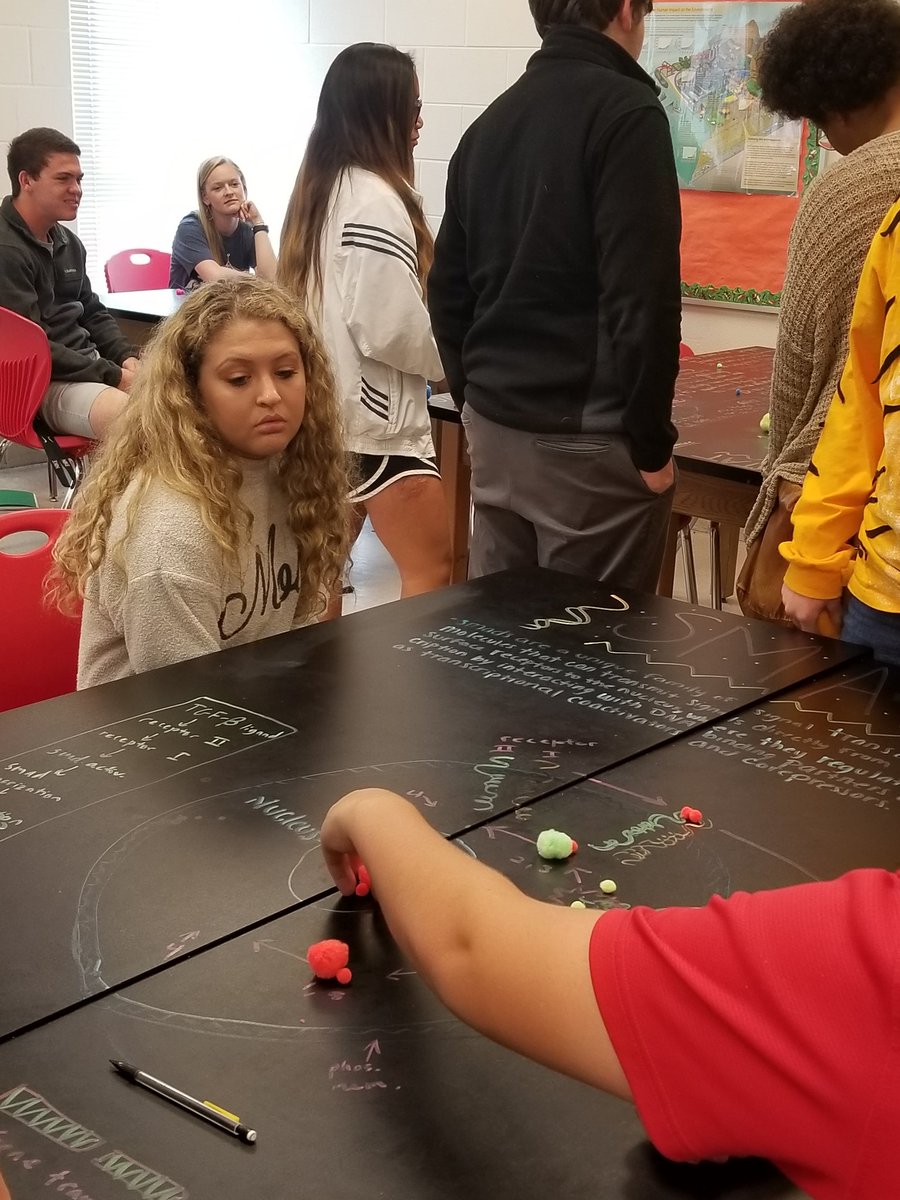 SaralandAPBio's tweet photo. Modeling signal transduction pathways. @SaralandHigh #expectmoreachievemore https://t.co/rP1MGiucpG