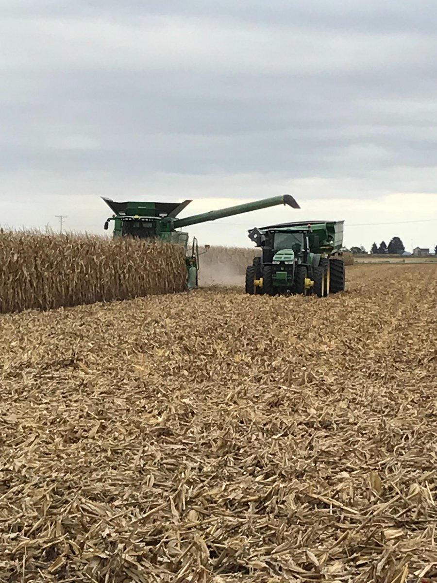 GISCcoop's tweet image. Happy #Harvest2018 from Momence, IL! #harvest #gisc #coopmonth #farm #farms #farming #farmer #corn #crop #crops