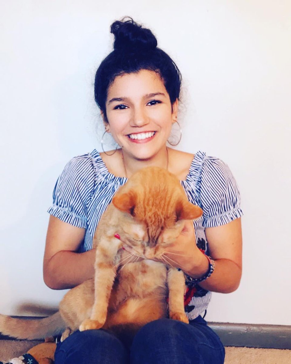 AutonomeeTV's tweet photo. Kitty and I are about to start streaming 😼💕 Come say hey! 
#twitch #twitchstreamer #twitchstream #twitchaffiliate #twitchgirl #twitchgirls #girlgamer #gamergirl #gamergirls #supportsmallstreamers #xboxone #positivity #smallstreamer #starwars #battlefront2 #battlefront #starwars https://t.co/surBar7wVJ