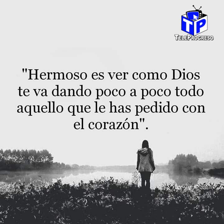 Teleprogreso tweet media