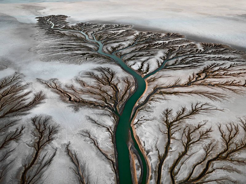 agotoronto's tweet photo. We'll be screening Watermark, as part of our #AnthropceneProject programming. In the film, we are immersed in a world defined by a magnificent force of nature that we all too often take for granted - until it's gone. Get your tickets and more info here: https://t.co/g4ZZMbCLbX https://t.co/qYtPsOFP2q