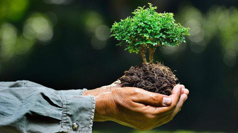 TarkettGroup's tweet photo. #WorldEnvironmentalHealth At Tarkett, we are committed to "Doing Good. Together" by eco-designing our flooring solutions and by using good materials that respect people's health and the environment https://t.co/aepxwZ529m https://t.co/XWbXB5Ov9F