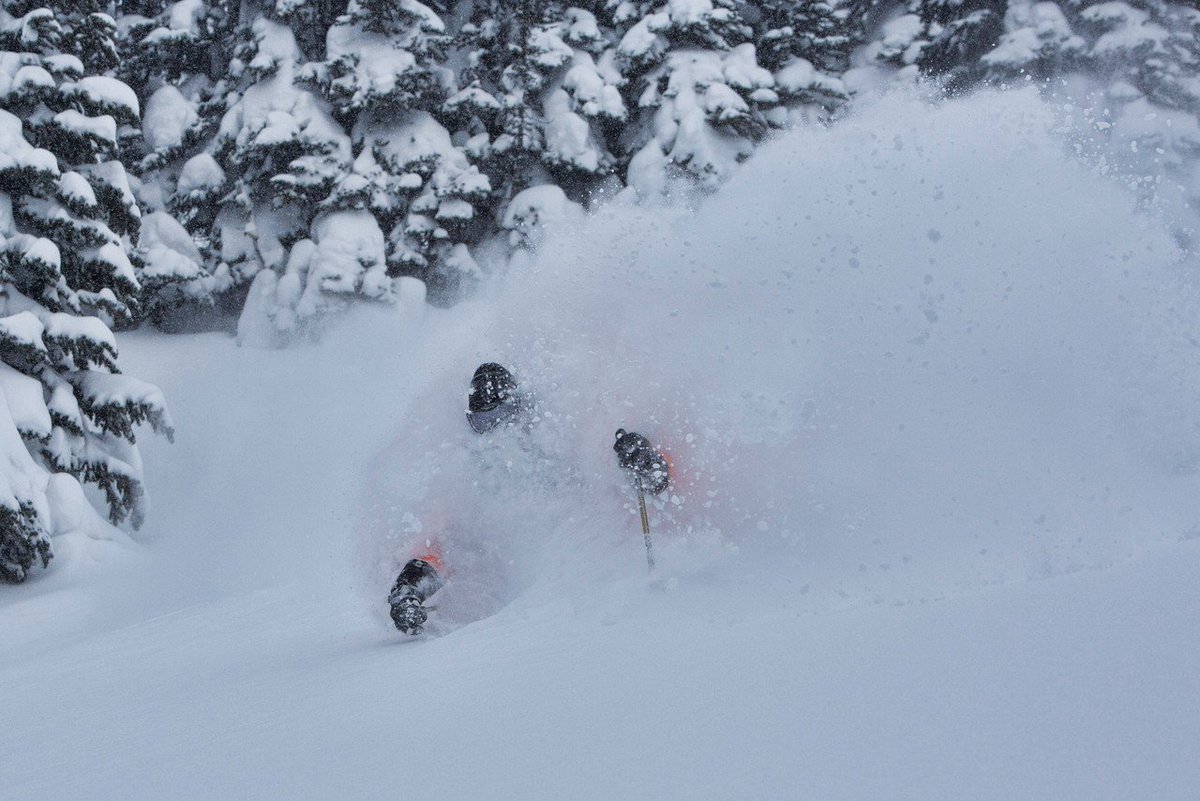 Colo_HeliSkier's tweet photo. Booking Week for 2019-20 at CMH Heli-Skiing is Oct 15-19, 2018. After which prices go up. 
If you'd like to come skiing/boarding with us in 2019-20 please contact me and I'll get you lined up.
#skiing #snowboarding #heliskiing #powder https://t.co/MJZnKqZRtw