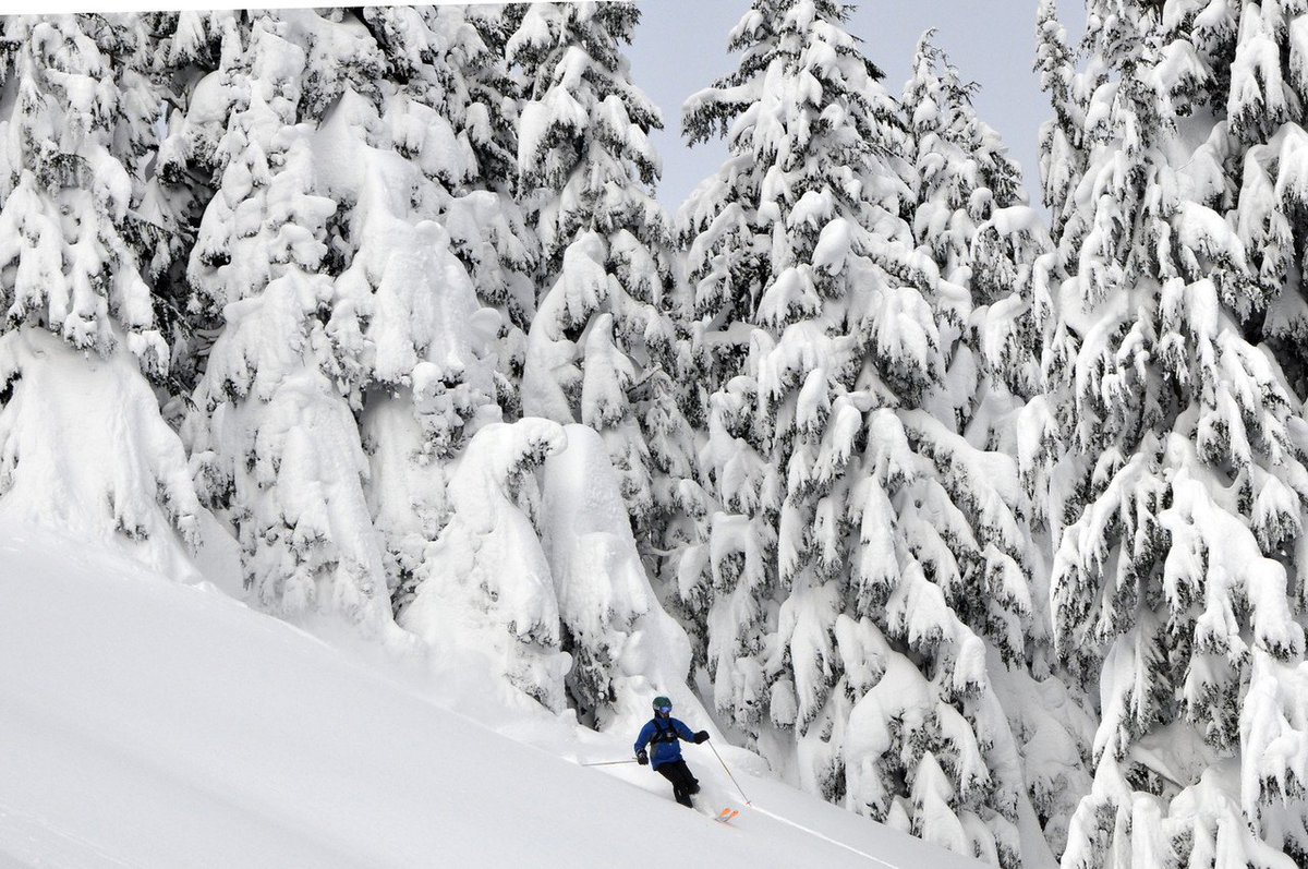 Colo_HeliSkier's tweet photo. Booking Week for 2019-20 at CMH Heli-Skiing is Oct 15-19, 2018. After which prices go up. 
If you'd like to come skiing/boarding with us in 2019-20 please contact me and I'll get you lined up.
#skiing #snowboarding #heliskiing #powder https://t.co/MJZnKqZRtw