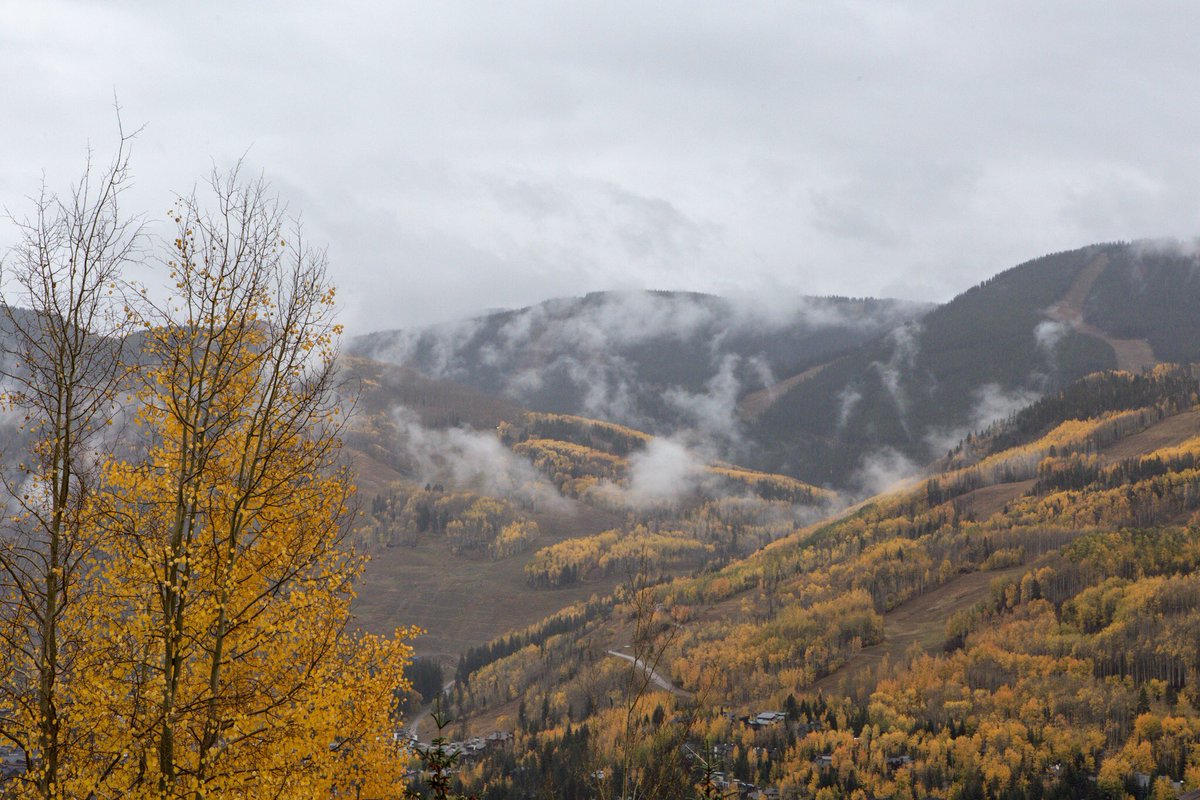 vailmtn's tweet photo. Taking in the moody views this week as seasons begin to collide. 
#Vail #ReadySetSnow https://t.co/nssBeD04E5