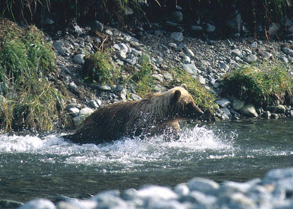 ForestServiceNW's tweet photo. “Our task must be to free ourselves by widening our circle of compassion to embrace all living creatures & the whole of nature in its beauty.”-Albert Einstein #WednesdayWisdom https://t.co/cwZxEiilE8