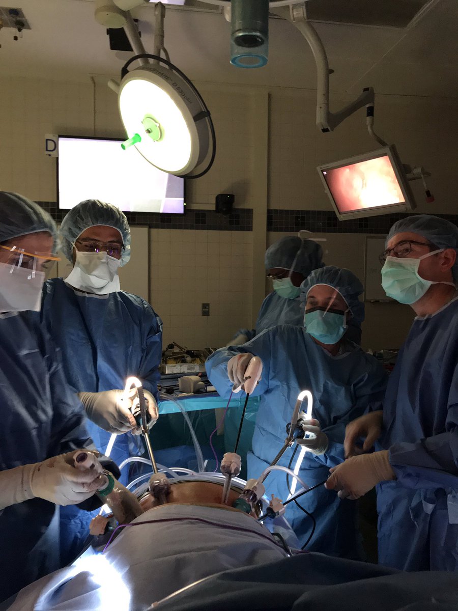 Salman Alsafran tweet media