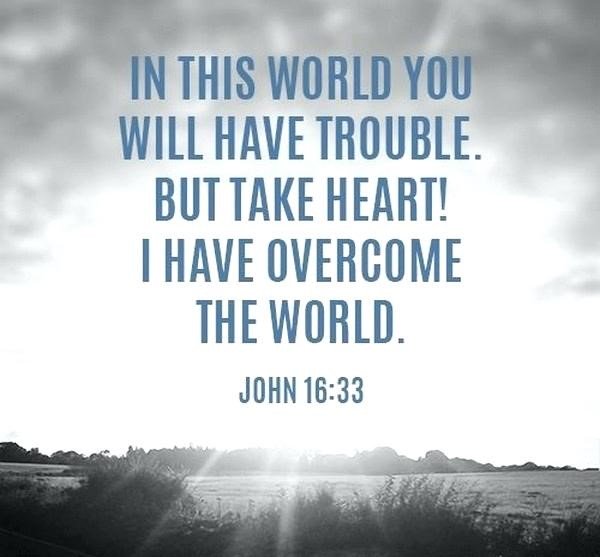 TXB Connections (@txbconnections) on Twitter photo 