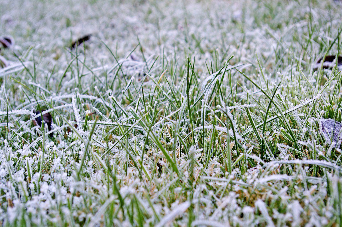 NALandandDesign's tweet photo. As winter approaches, there are a few #LawnMaintenance items to take care of before the first frost. 
https://t.co/S1NDGTUwBu https://t.co/YNL2nm5w8o