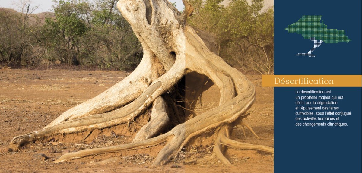 SOS Sahel Luxembourg tweet media