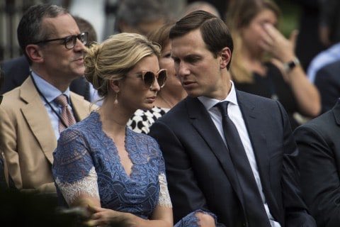 10/ Ivanka & Jared will be played by Lisa Kudrow & Finn Wolfhard