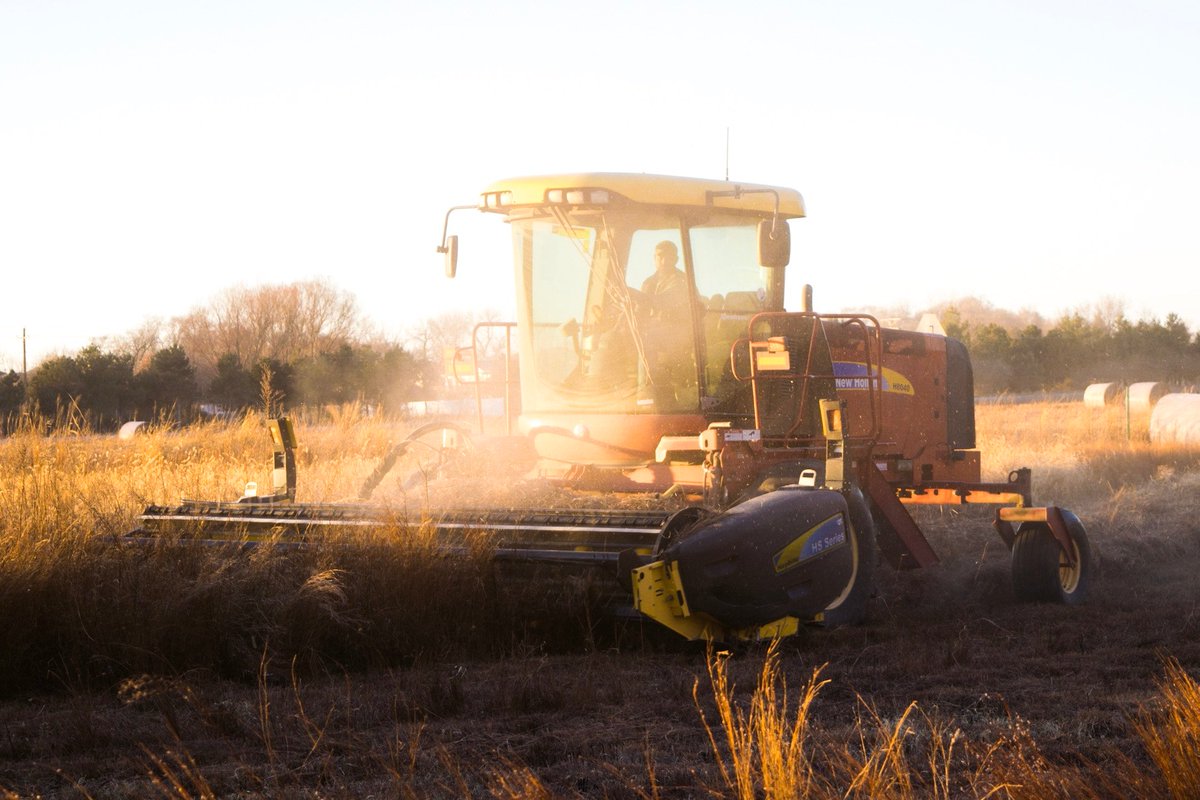 #DYK the stockpile of #corn is expected to fall from 2.027 billion bushels at the end of the 2017/18 season to 1.684 billion bushels by the end of 2018/19? Gretchen explains this trend on the blog: bit.ly/2NRNRuR