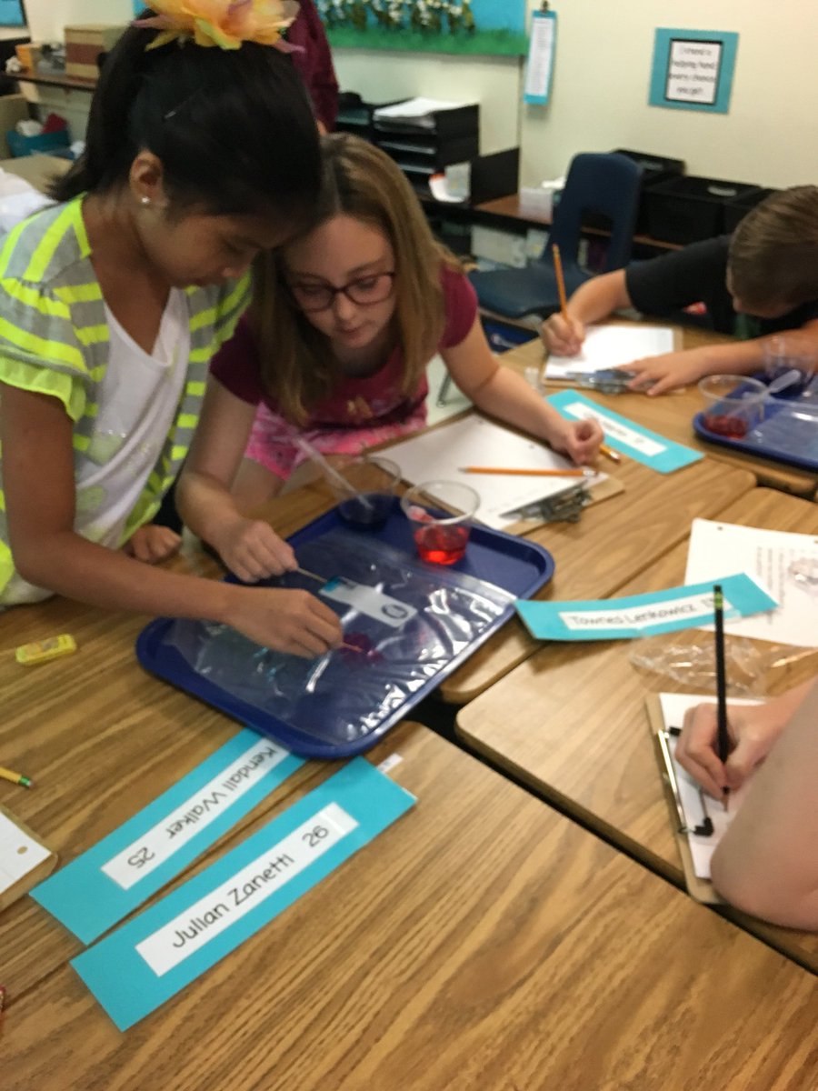 DebraZavertnik's tweet photo. Exploring the mysteries of science. Can we identify the mystery liquid? #CBGAcademies @ccps_gifted #GrowingGreenfieldes https://t.co/7JRtfynW9y
