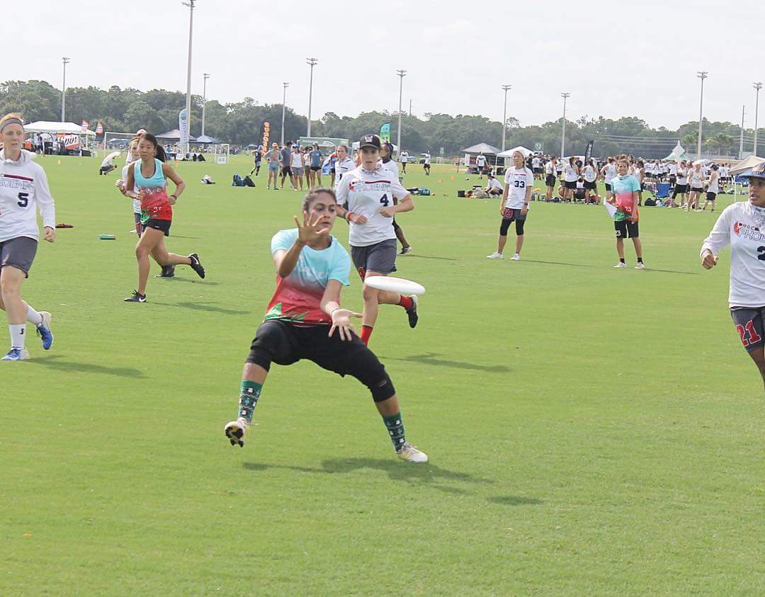 Tampa Bay Cannons tweet media