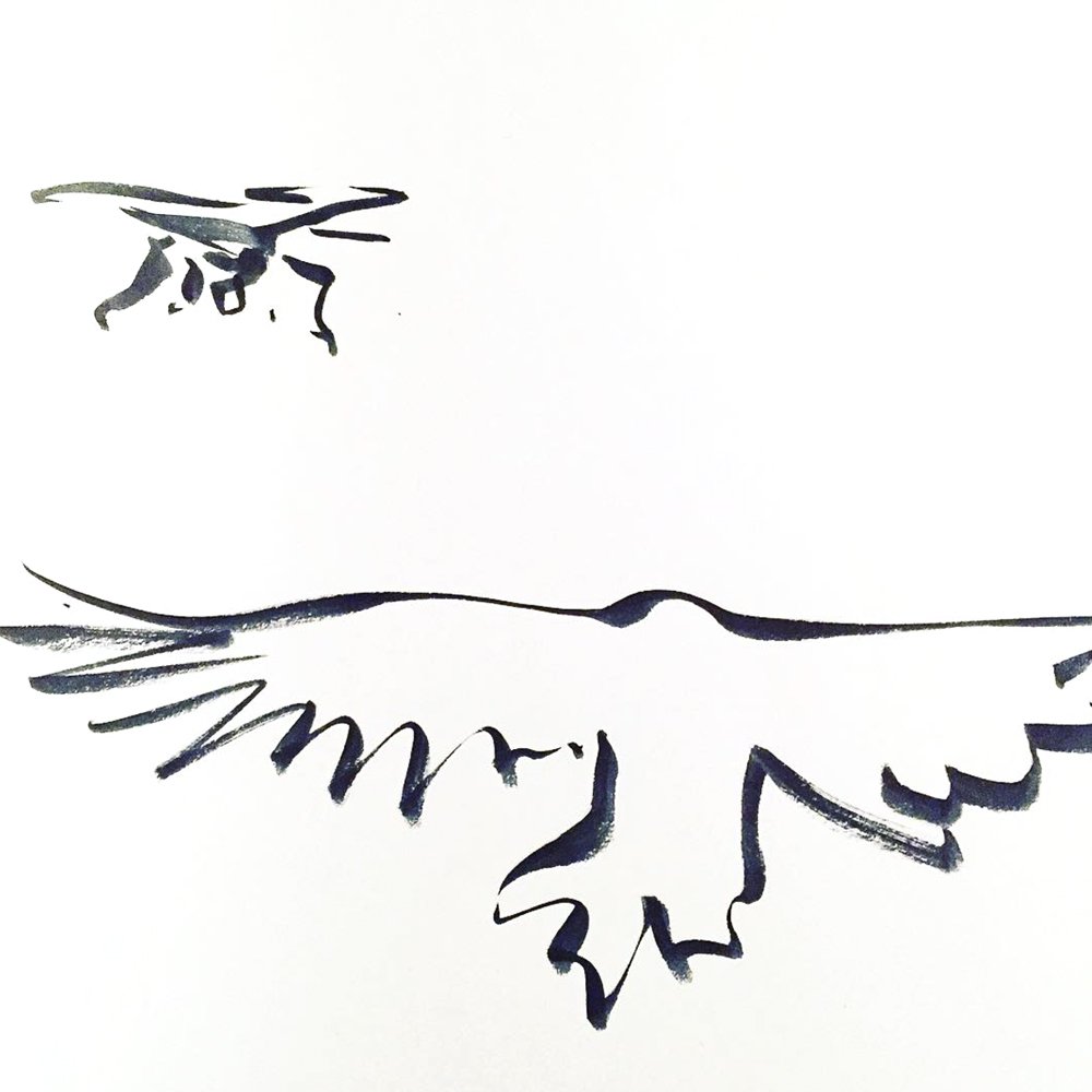 VNHGallery's tweet photo. Here are some preparatory drawings by Mircea Cantor for his new film "Aquila non capit muscas" (The eagle doesn’t hunt flies). The film will be presented in his upcoming solo exhibition at the gallery entitled "History is a bullet on your timeline" opening on October 12th. #VNH https://t.co/vMjK4hFb59