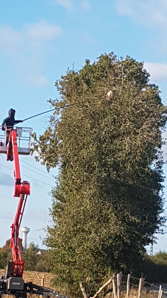 La destruction des nids de #frelonasiatique est une Responsabilité de tous les citoyens sensiblent à la préservation #abeilles Les #communes parfois s' y associent financièrement Cet acte aura dû être une obligation et prise en charge l État #environnement