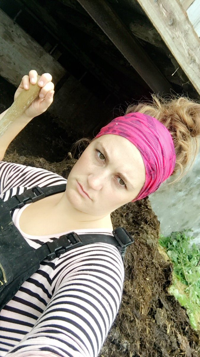 Katie14Grove's tweet photo. Turns out everyone is “ busy” when you have to fork out the bottom of the bank barn. #damncows https://t.co/aD4ByLKufI