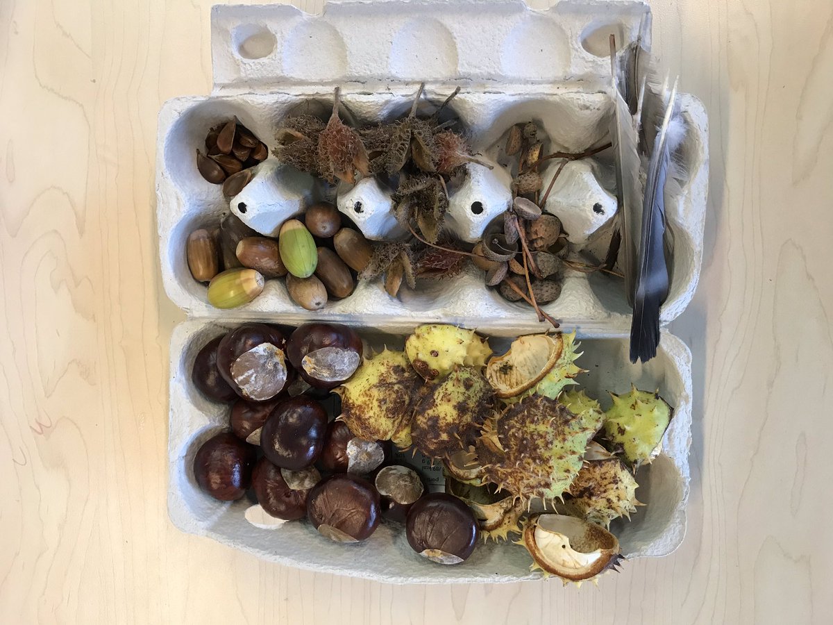 Vandaag met de bso een mooie #herfstwandeling 🍁gemaakt #eikels #kastanjes 🍂