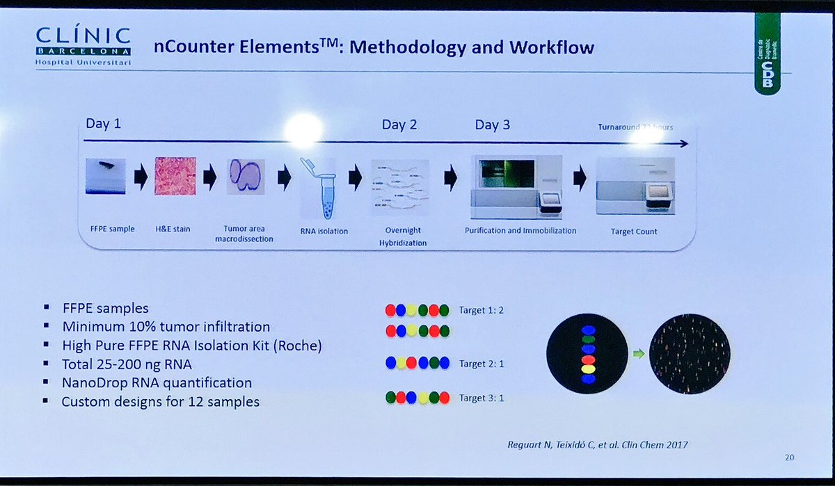 lara_pijuan's tweet image. .@teixido_c nos anima a conocer otras técnicas para la detección de reordenamientos del gen #ROS1 en cáncer de pulmón #CodingLungCancer #biomarkers #pulmpath