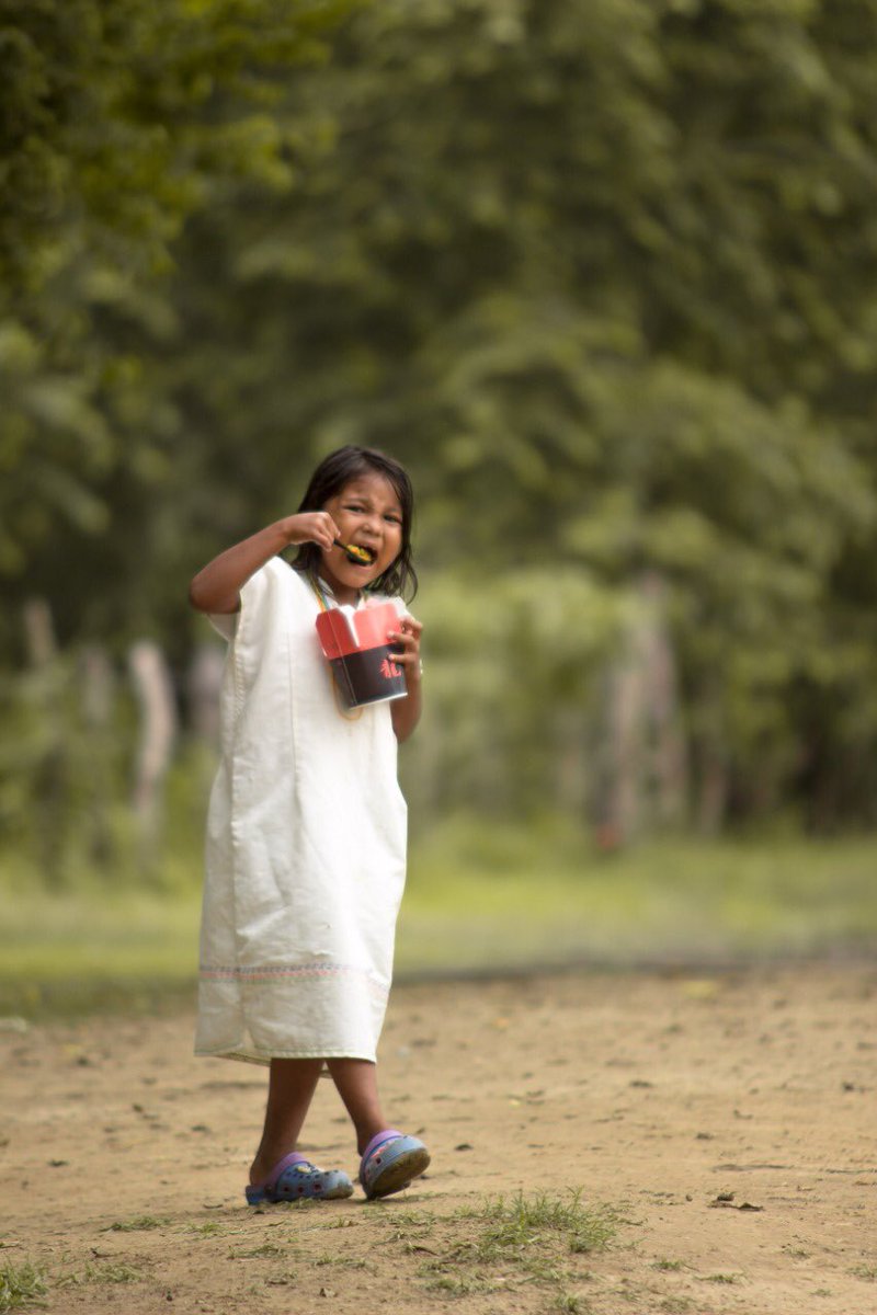 RLonghang's tweet image. @restaurantelonghang hace presencia aportando una deliciosa comida china , a la comunidad indígena Arhuaca de bunkwimake y ganando y muchas sonrisas de estos niños @senoritamagdalena @camilacardenas8 #longbox #comidachina #longhang #chinafood #niños #preferido #niñosindigenas