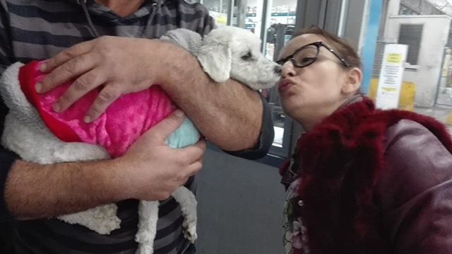 ReloCat_Italy's tweet photo. A sweet kiss to Marnie before her flight Milan 🛫 Johannesburg
#petshipexperts #ipata #dogs #relocat.italy @relocat.italy https://t.co/A9lR3ZjclG https://t.co/zGo6jDDVhu