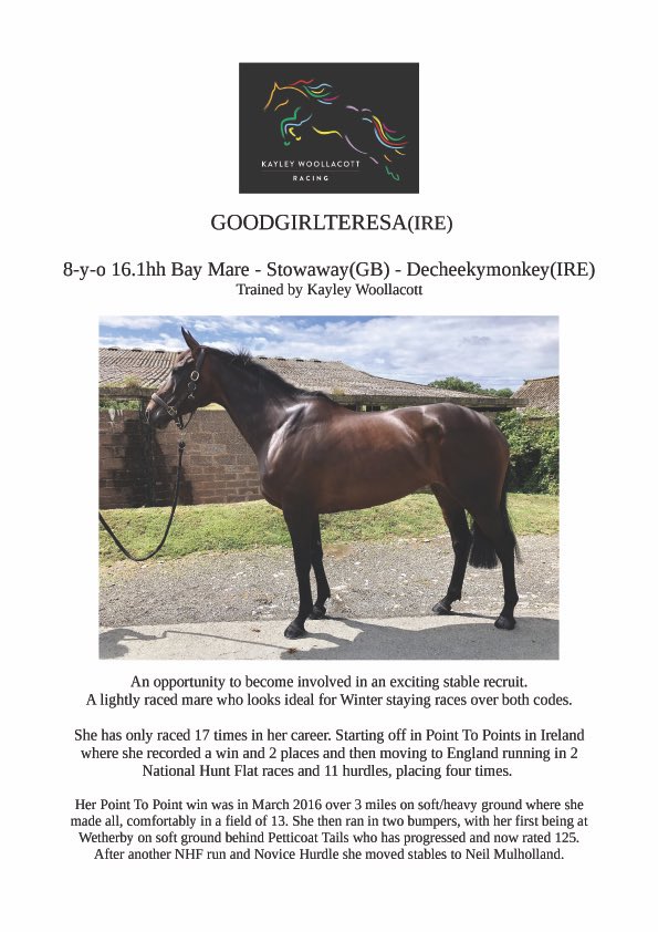 k_woollacott's tweet photo. So we have a limited number of shares left available in Goodgirlteresa... exciting prospect for chasing this season and lots of fun to be had.. She is now back in work after a nice break and will be ready to run in approximately 6 -8 weeks #GetInvolved https://t.co/Y3Wa9leF3K