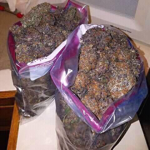 #Maryjane#stonerNation#weednation#420#weedculture#stonercity#place your orders now discreet deliver to all start#Wickr ( mikejaye )