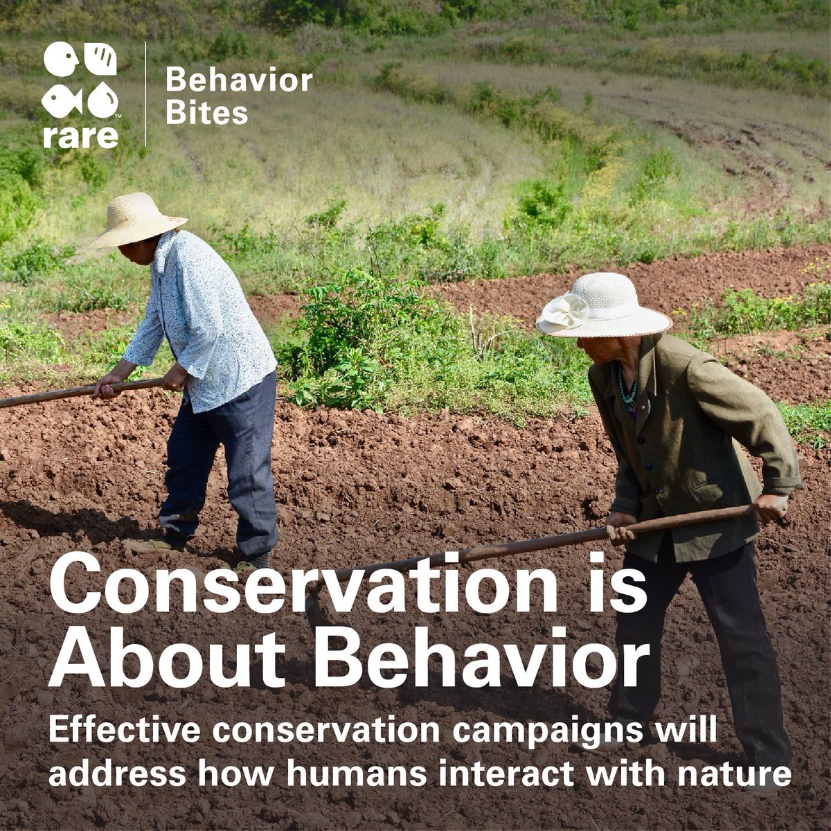 Rare_org's tweet photo. For our first #BehaviorBites – Conservation is About Behavior—tell us if you know an organization that does this well! #WednesdayWisdom #BehaviorChange https://t.co/okYv7orDwv