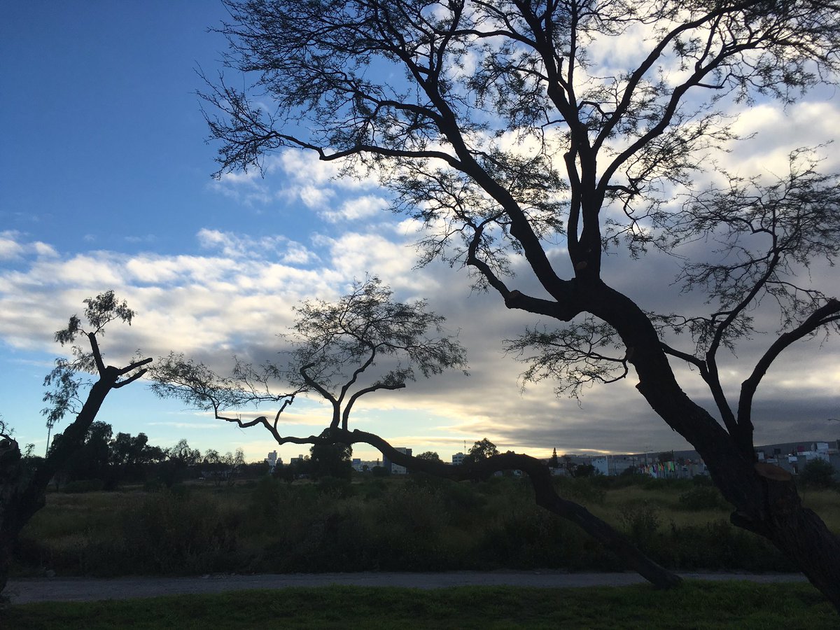 alexortiz75's tweet image. #loqueveomientrascorro #YoElegiCorrer