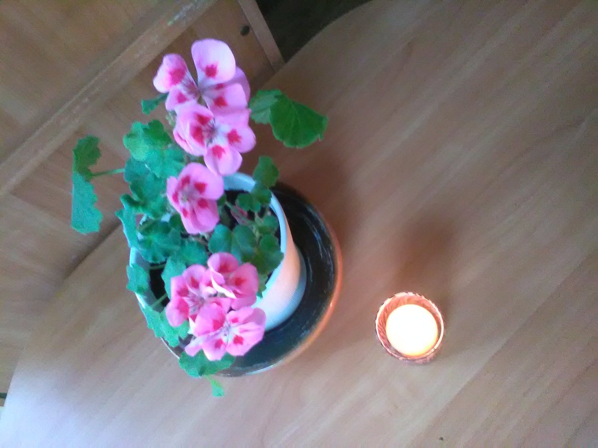 Aizvadītā Miķeļdiena mūsu bibliotēkā ;)