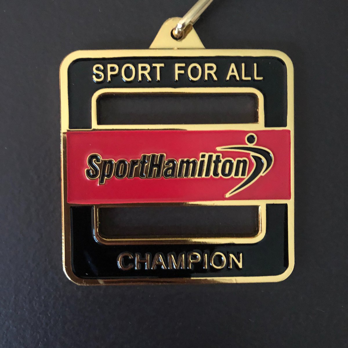 Sport Hamilton tweet media