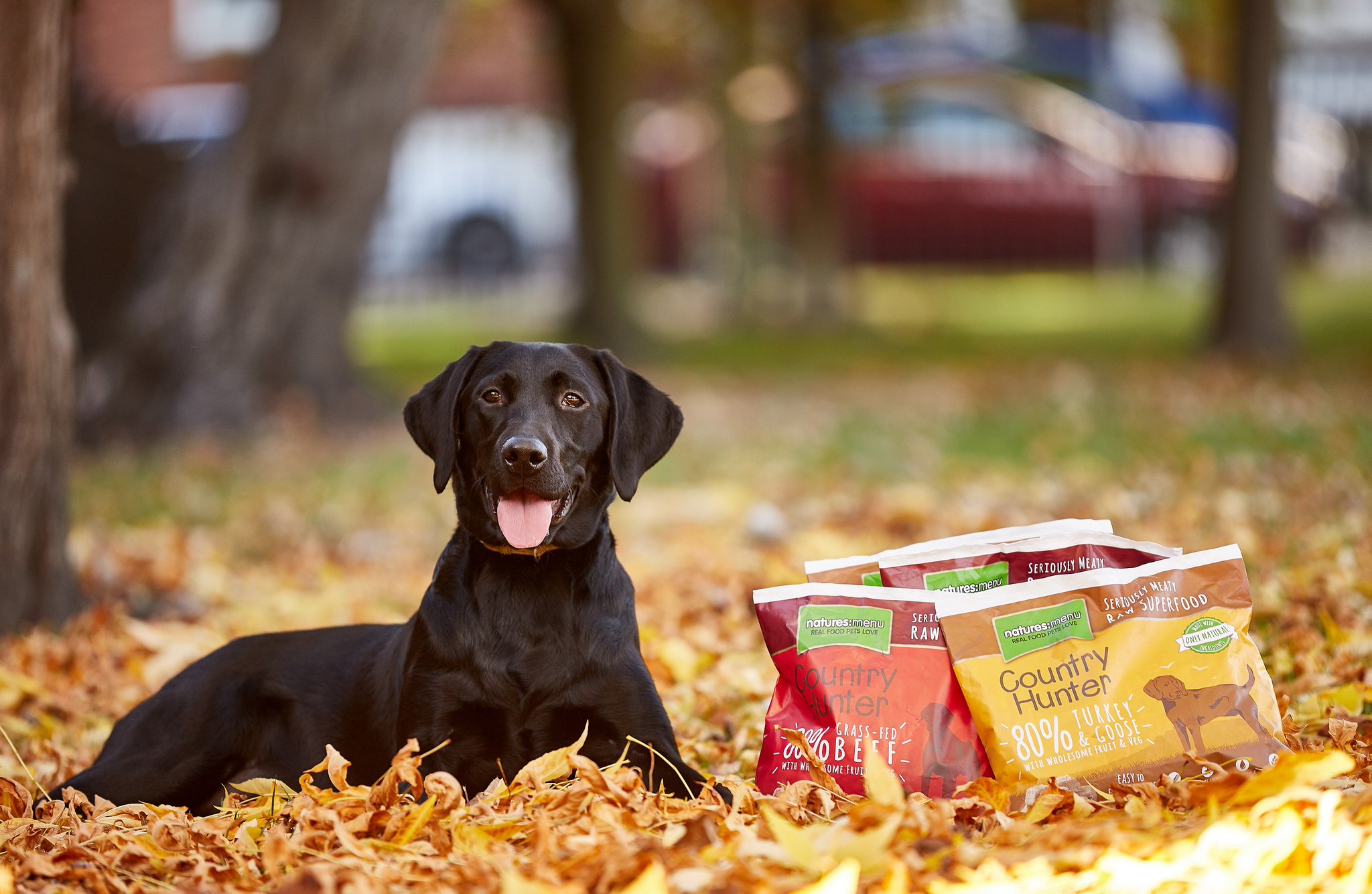natures menu country hunter raw nuggets