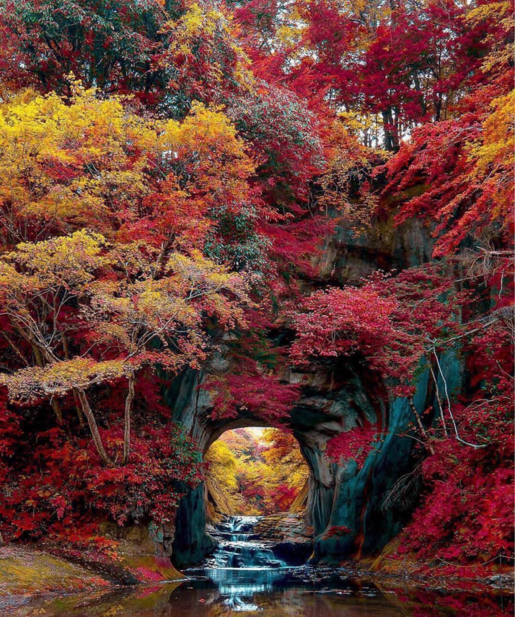RayZor_Sports's tweet photo. Photo of the Month - Can you guess where this #photo was taken? #photoofthemonth #autumn #colorful  #RayzorInternational https://t.co/fcxTMxA566